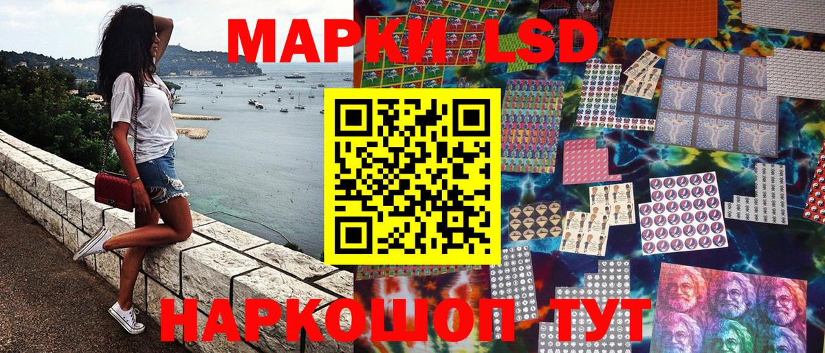 Марки N-bome 1,8мг  Вход с VPN  Лесной 