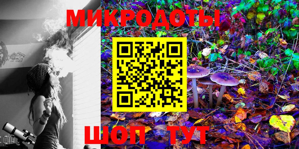 Лесной  Псилоцибиновые грибы Psilocybine cubensis  Галлюциногенные грибы Cubensis  Вход с VPN 